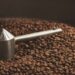 Fermentação do café: entenda como a qualidade do grão é elevada