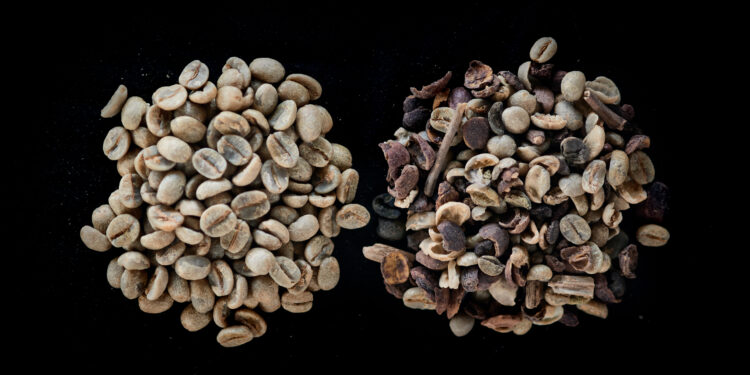 café especial com especiarias