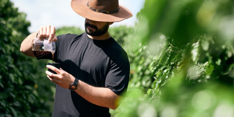 Tipos de café gourmet