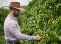 Empresários locais e cafés especiais: como o empreendedorismo fortalece comunidades e transforma o café em valor