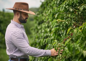 Empresários locais e cafés especiais: como o empreendedorismo fortalece comunidades e transforma o café em valor