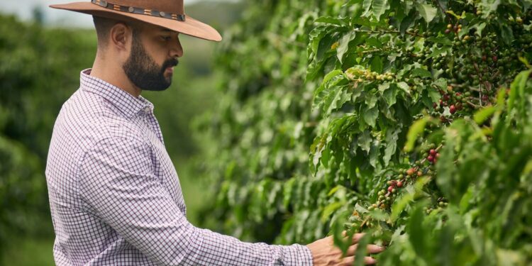Empresários locais e cafés especiais: como o empreendedorismo fortalece comunidades e transforma o café em valor